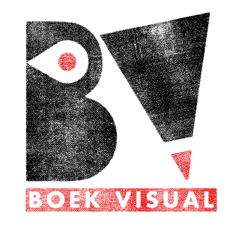 Boek Visual TV2